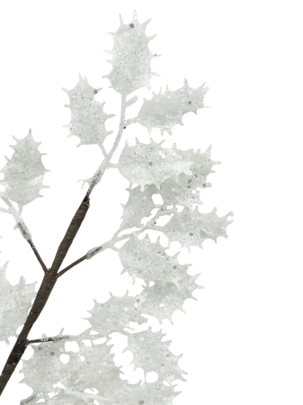 Ramura decorativa cu frunze ilex FREEZY, Alb [3]