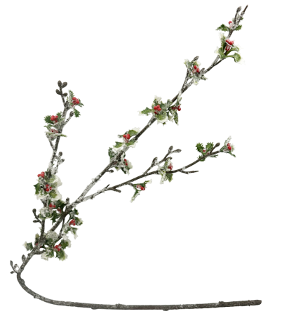 CRENGUTE & PICK-URI - Ramura decorativa cu frunze si fructe ninse ILEX, 85cm