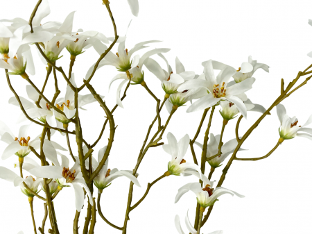 Crenguta cu flori artificiale STAR, Alb, 80cm [1]