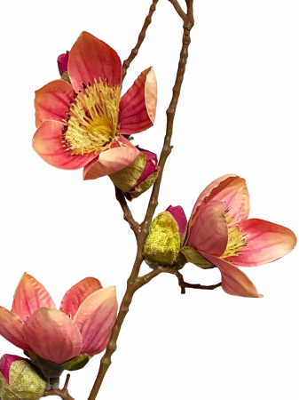 Magnolie artificiala BEAUTY, Roz piersica, 100cm [1]