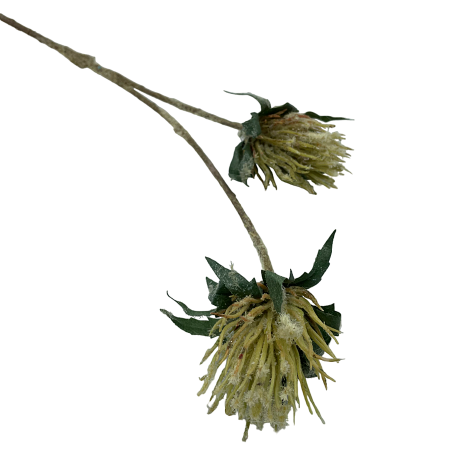 CRENGUTE & PICK-URI - Creanga decorativa FREEZY, 60cm