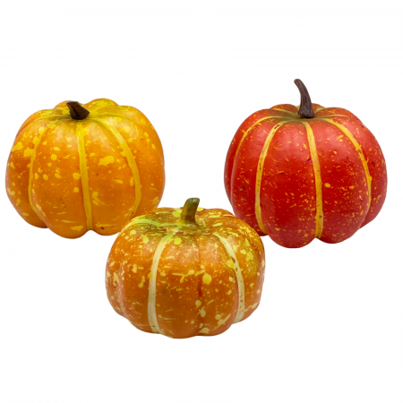 CASA & DECOR - Set 3 Dovleci decorativi AUTUMN