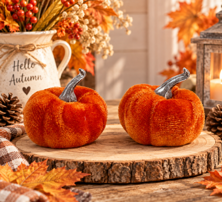 Dovleac decorativ VELVET AUTUMN [1]