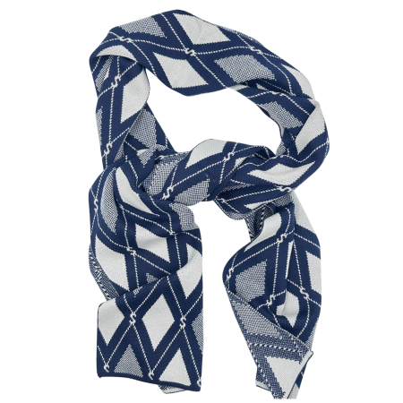 Esarfe & Fulare - Esarfa barbati Casmir ARGYLE in carouri - bleumarin