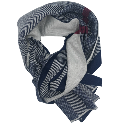 Esarfa barbati Cashmere CESARE in carouri Bleumarin [1]