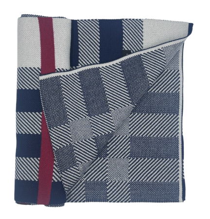 Esarfa barbati Cashmere CESARE in carouri Bleumarin [2]