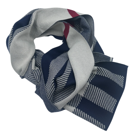 Fulare & Esarfe Casmir & Manusi Barbati - Esarfa barbati Cashmere CESARE in carouri Bleumarin