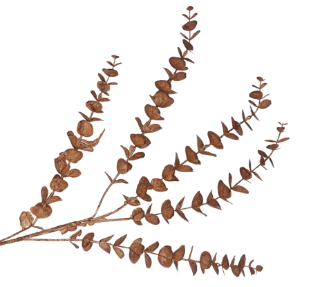 Eucalipt artificial LEON, Maro, 80cm [1]