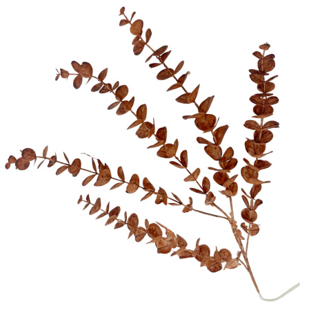 CRACIUN MAGIC - Eucalipt artificial LEON, Maro, 80cm