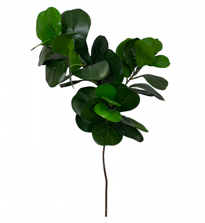 Eucalipt artificial AMIL, Verde, 50cm [4]