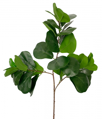 Flori Artificiale - Eucalipt artificial AMIL, Verde, 50cm