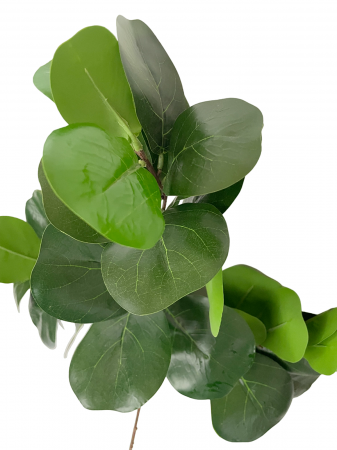 Eucalipt artificial AMIL, Verde, 50cm [2]