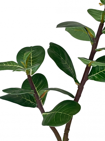 Eucalipt verde artificial, Abilene, 50cm [1]