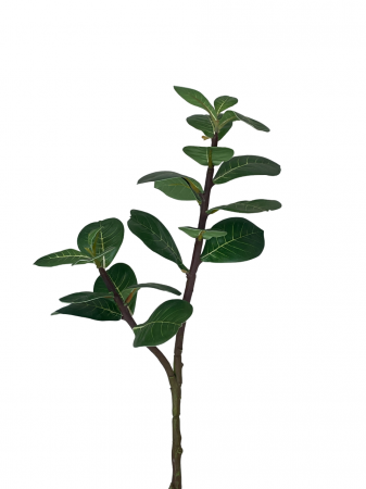 Flori Artificiale - Eucalipt verde artificial, Abilene, 50cm