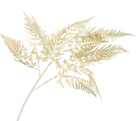 DE TOAMNA - Feriga artificiala BEAUTY, Crem, 100cm