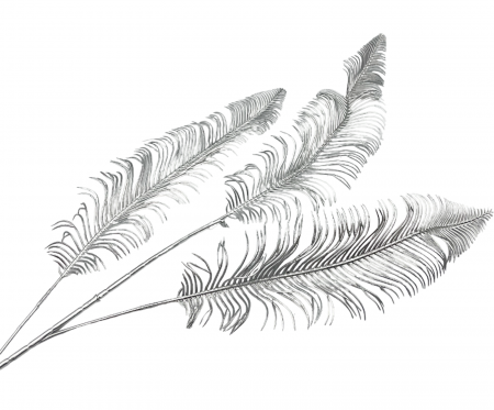 Creanga decorativa LEON, Argintiu, 70cm [1]