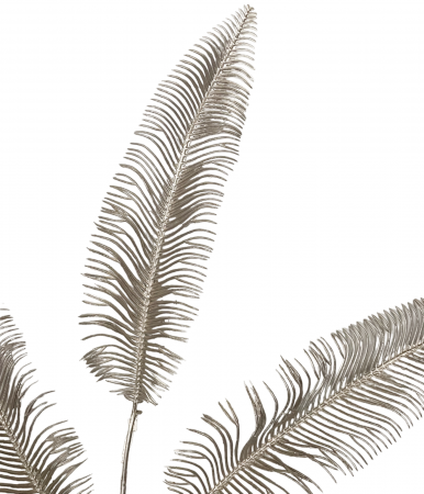 Creanga decorativa LEON, Sampanie, 70cm [1]