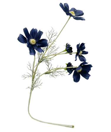 De Vara - Flori artificiale COSMOS, Navy, 60cm