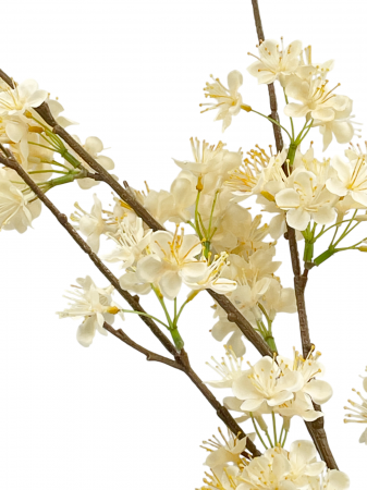 Ramura cu flori artificiale CHERRYL, Crem, 100cm [1]