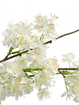 Flori artificiale CHERRYL, Alb, 100cm [1]
