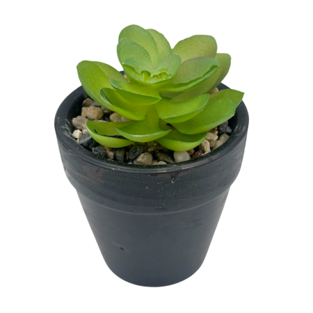 De Birou - Planta suculenta artificiala in ghiveci MINI GREEN