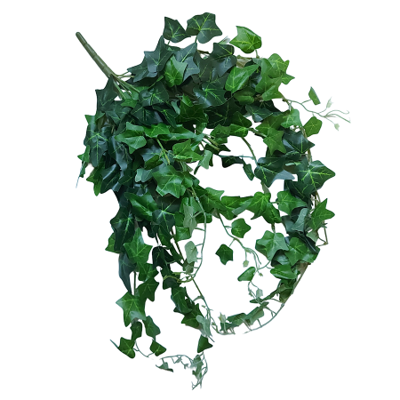 Iedera curgatoare artificiala NATURE, 70cm [1]