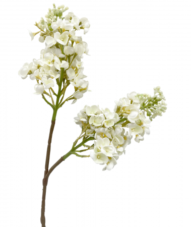 Flori Artificiale - Liliac artificial CHARM, Alb, 60cm