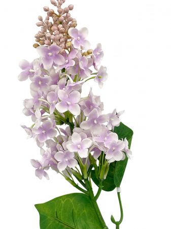 Liliac artificial APRIL, 50cm [1]
