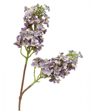 Flori Artificiale - Liliac artificial CHARM, Lila, 60cm