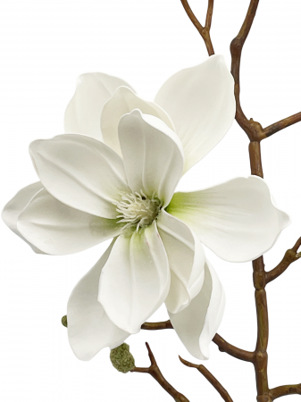 Magnolie artificiala HEAVEN, Alb, 90cm [1]