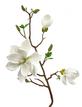 De Sezon - Magnolie artificiala HEAVEN, Alb, 90cm