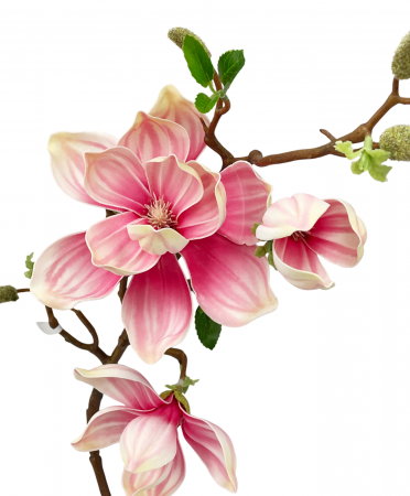 Magnolie artificiala HEAVEN, Roz, 90cm [1]