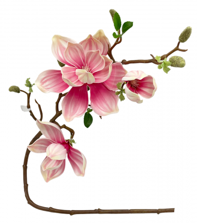 Magnolie artificiala HEAVEN, Roz, 90cm [2]