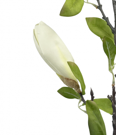 Magnolie artificiala MAJESTIC, Alb, 100cm [2]