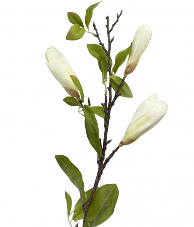 Flori Artificiale - Magnolie artificiala MAJESTIC, Alb, 100cm