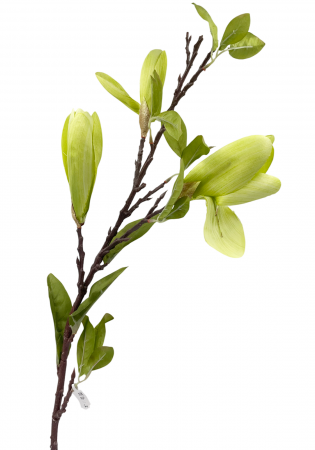 Flori Artificiale - Magnolie artificiala MAJESTIC, Verde, 100cm