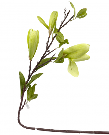 Magnolie artificiala MAJESTIC, Verde, 100cm [1]