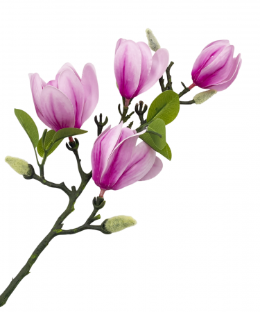 Magnolie artificiala QUEEN, Roz, 60cm [2]