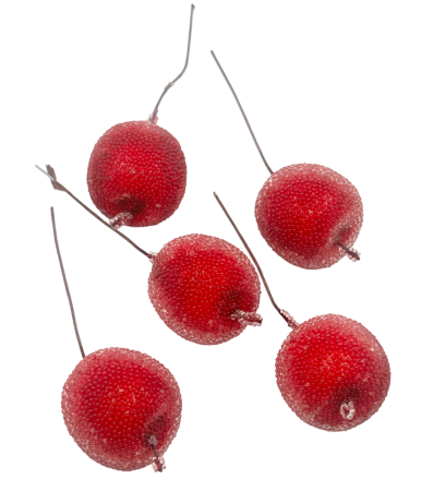 DECORATIUNI CRACIUN - Set 5 mere decorative pe bat BREEZY, Auriu