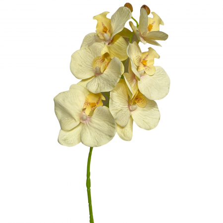 De Vara - Orhidee artificiala GLORIA, Galben, 60cm