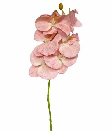 Orhidee artificiala GLORIA, Roz somon, 60cm [1]
