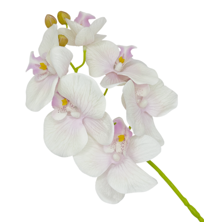 Flori Artificiale - Orhidee artificiala CELESTE - Ivoire rose