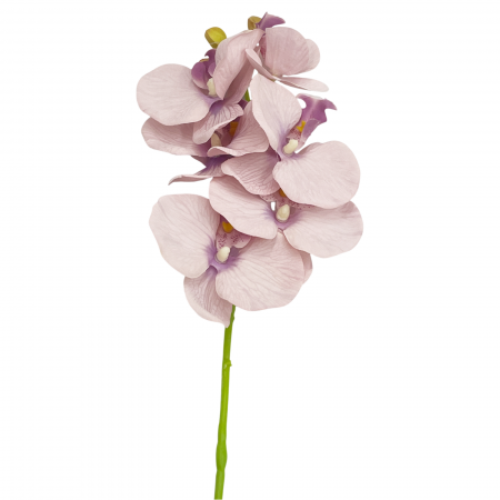Orhidee artificiala GLORIA, Roz/ Mov, 70cm [2]