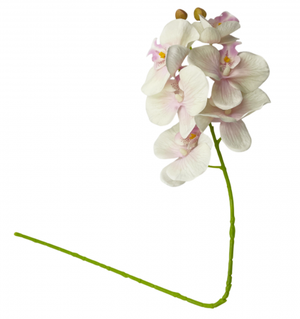 Orhidee artificiala GLORIA, Alb roz, 60cm [1]