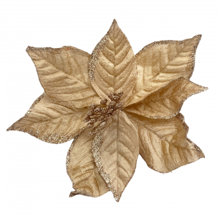 Ornament brad Craciunita CHRISSY, Nude auriu