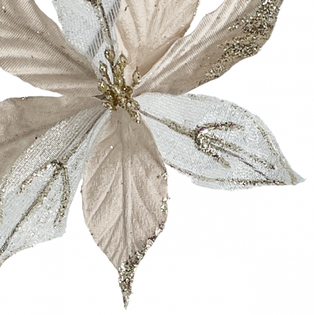 Ornament brad Craciunita DELICE, Sampanie, 18cm [2]
