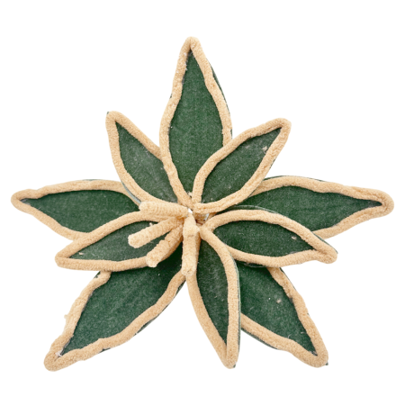 GLOBURI & FLORI DE BRAD - Ornament brad Craciunita ROYAL, Sampanie caramel, 30cm