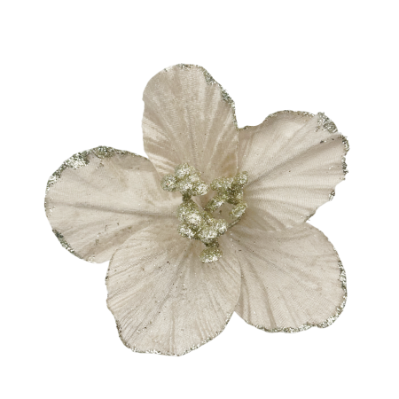 Ornament brad Magnolie HOPE, Sampanie, 15cm [2]