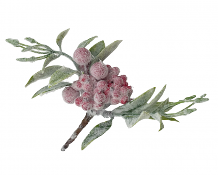 CRENGUTE & PICK-URI - Ornament Craciun cu bobite glazurate HOLLY, 12cm