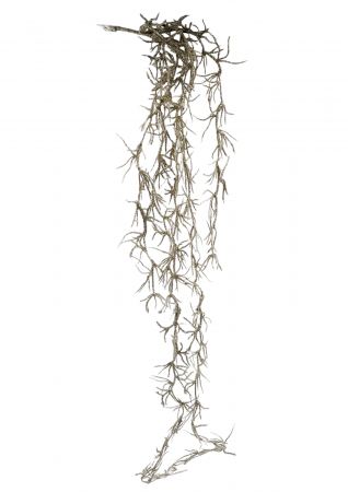 Ghirlanda decorativa BRIGHT, Auriu, 55cm [1]